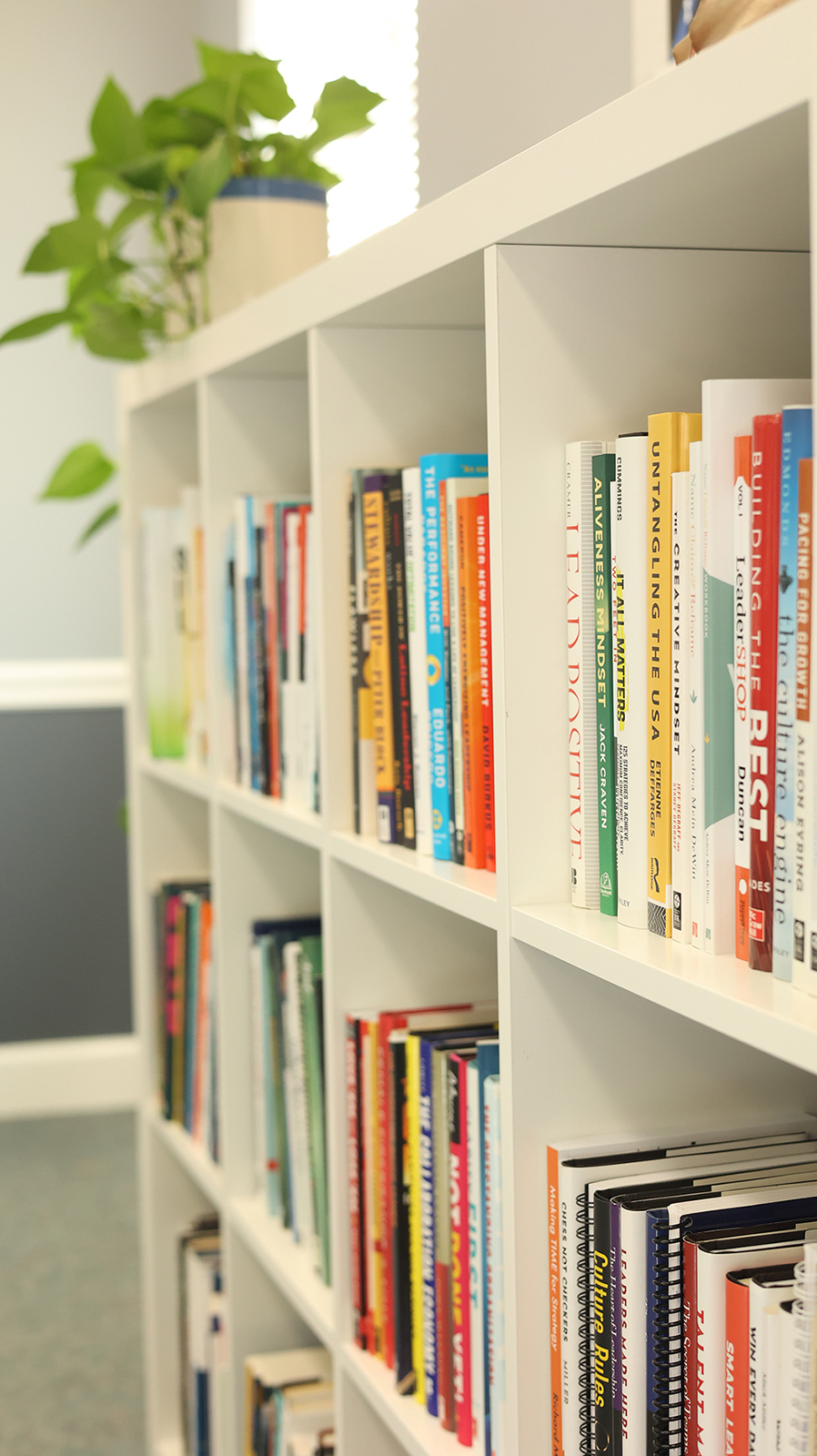 Bookcase-1.jpg